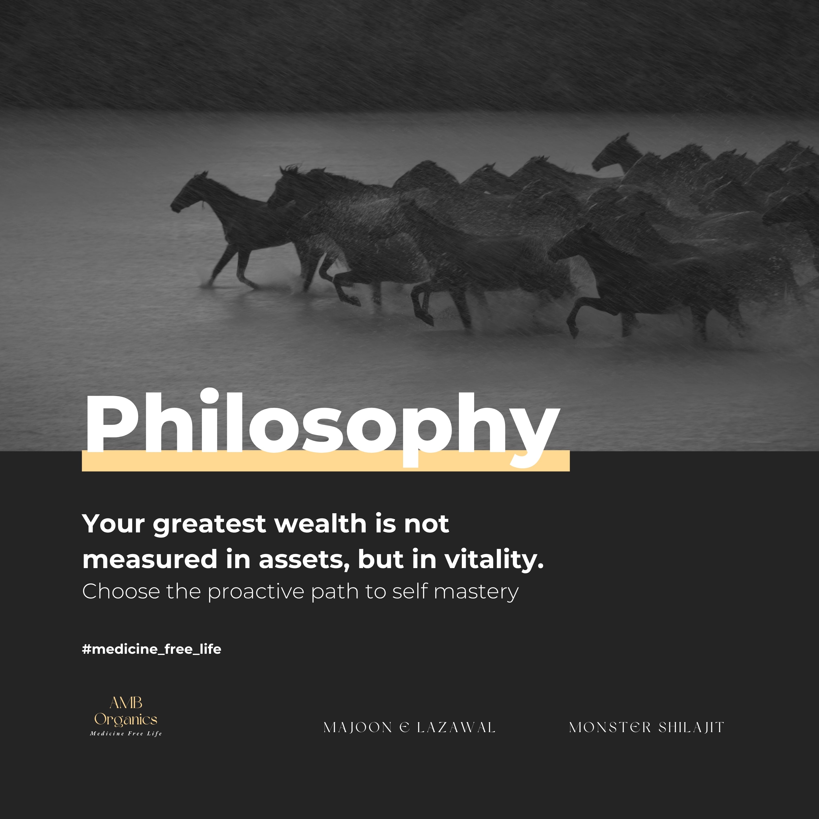 Welcome to <strong>AMB ORGANICS</strong>